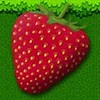 Bob the adorable bug dreamed of delicious strawberries day in, day out! Help him to solve his way through the level by collecting as much strawberries as you can! Unlock the endless mode and beat up the highscore!
