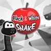 Black and white snake