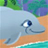 My Dolphin Play Day
