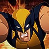 Wolverine Search and Destroy