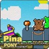 Pina Pony