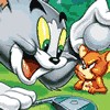 Tom and Jerry Memory