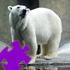 Polar Bear Jigsaw Free Game