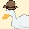 Deducktion  A Free Strategy Game