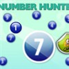 Number Hunter