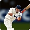 Online Cricket 2011