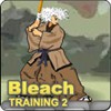 Bleach Training 2