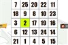 Schulte Grid Puzzle