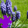 Fairy Bells Jigsaw A Free Jigsaw Game