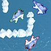 Polar Bear Racing Free Game