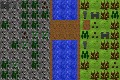 First Defense